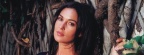 Monica Bellucci FB Cover  2