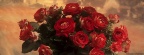Roses - Facebook couverture  3 