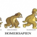 evolutuion-simpsons-couverture-facebook