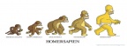 evolutuion-simpsons-couverture-facebook