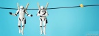 stormtroopers on the line facebook cover