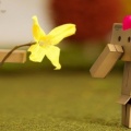 danbo love facebook cover