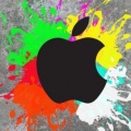 Apple cover (6)