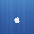Apple cover (7)