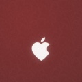Apple cover (8)