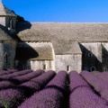 Champ de lavande à l'abbey de Senanque, Gordes, Provence, France - Facebook Cover