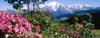 Mont Blanc vu depuis le village du Cordon, Haute-Savoie, France - Facebook Cover