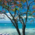 Caraibes - Couverture Facebook  10 