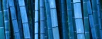 Timeline - Bamboo, Kyoto, Kinki, Japan