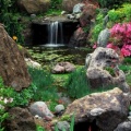Timeline - Ferrari-Carano Gardens, Sonoma County, California