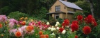 Timeline - Garden House and Dahlias, Shore Acres State Park, Oregon