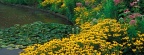 Timeline - Garden Pond, Holden Arboretum, Cleveland, Ohio