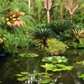Timeline - Hawaii Tropical Botanical Gardens, Hawaii