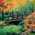 Timeline - Japanese Garden, Washington Park, Portland, Oregon