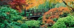 Timeline - Japanese Garden, Washington Park, Portland, Oregon