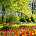 Timeline - Keukenhof Gardens, Holland