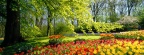 Timeline - Keukenhof Gardens, Holland