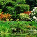 Timeline - Oriental Garden, Shore Acres State Park, Oregon