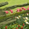 Timeline - Skagit Valley Garden, Washington.jpg