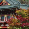 Timeline - Temple Gate, Japanese Tea Garden, San Francisco, California