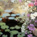 Timeline - Water Garden, Bali