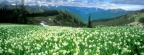 Timeline - A Peak Experience, Olympic National Park, Washington