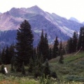 Timeline - Blooming Wildflowers, La Plata Mountains, Colorado