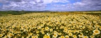 Timeline - Carrizo Plain National Monument, California