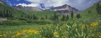 Timeline - Sneezeweeds and Hellebores, Sneffels Range, Colorado