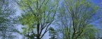 Timeline - Spring Meadow, Lexington, Kentucky