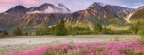 Timeline - Twilight at the Confluence, Tatshenshini Alsek Wilderness, British Columbia, Canada