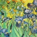 Van Gogh bleuet