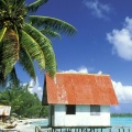 Cover FB  Ferme du Black Pearl, Tuamotu Islands, Polynesie Francaise