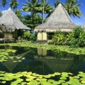 Cover FB  Lily Pads and Thatched Huts, Tahiti, French Polynesia