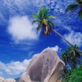 Cover FB  Plage de sable blanc, Seychelles
