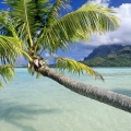 Cover FB  Tropical Escape, Bora Bora, French Polynesia