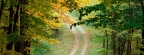 Cover FB  Chemin d'automne - Cataloochee Cove, Great Smoky Mountains National Park, North Carolina