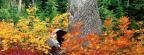 Cover FB  Autumn at Heather Meadows, North Cascades, Washington
