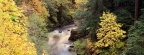 Cover FB  Autumn Color, Coquille River, Oregon