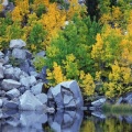 Cover FB  Autumn Color, Eastern Sierra, California