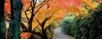 Cover FB  Autumn Colors, Kyoto, Japan