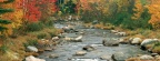 Cover FB  Autumn Colors, White Mountains, New Hampshire