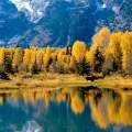 Cover FB  Autumn Grandure, Grand Teton National Park, Wyoming