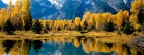 Cover FB  Autumn Grandure, Grand Teton National Park, Wyoming