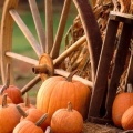 Cover FB  Autumn Harvest
