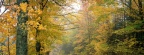 Cover FB  Crisp Autumn Afternoon, Vermont