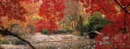 Cover FB  Lithia Park in Autumn, Ashland, Oregon