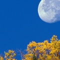 Cover FB  Moon Setting at First Light, Crested Butte, Colorado