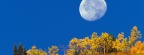 Cover FB  Moon Setting at First Light, Crested Butte, Colorado