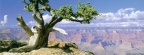 Desert couverture facebook (7)